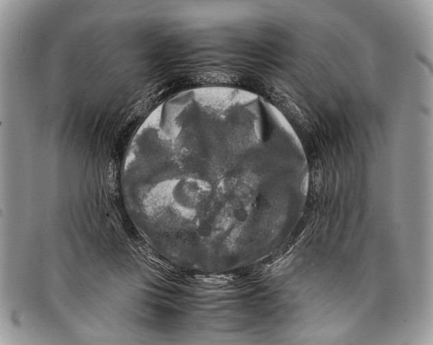 X0000097780359200803281707