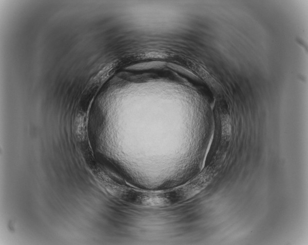 X0000097780360200803281707