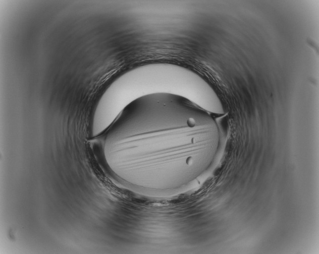 X0000097780364200803281707