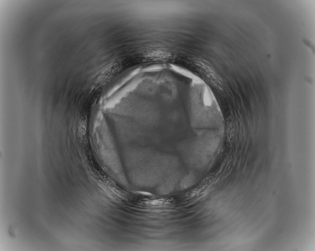 X0000097780365200803281707