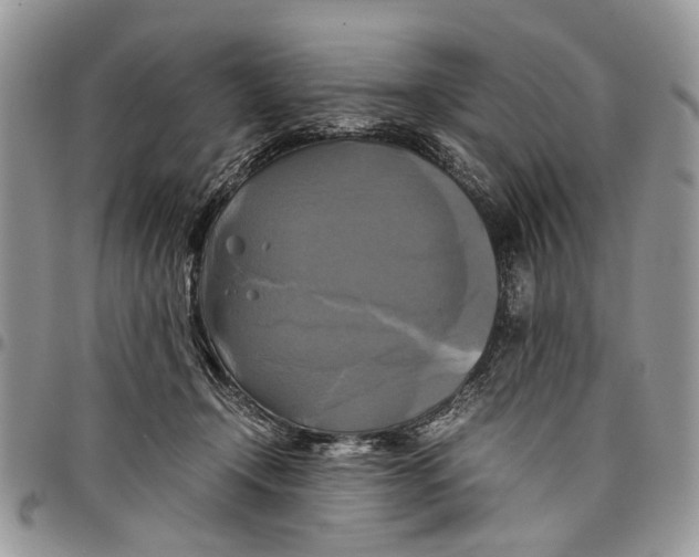 X0000097780366200803281707