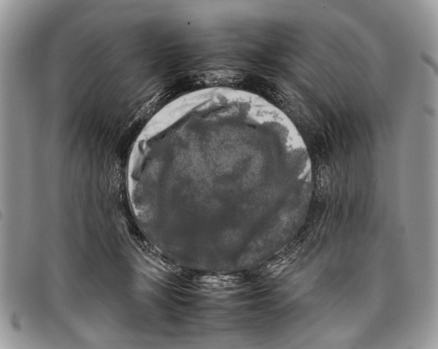 X0000097780367200803281707