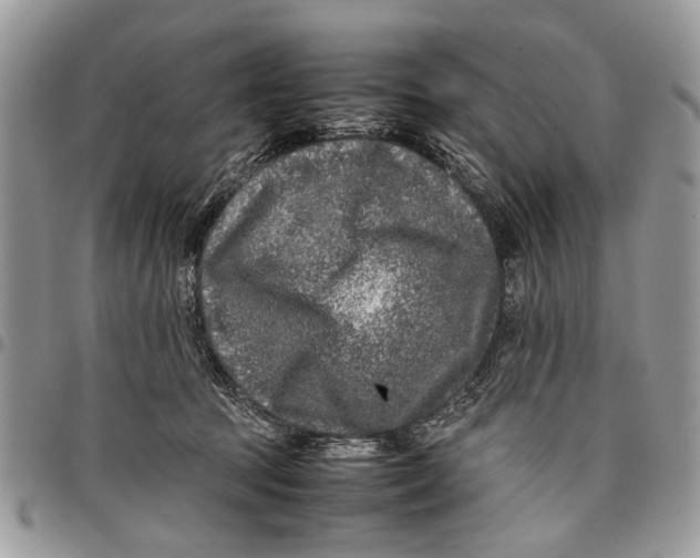 X0000097780369200803281707