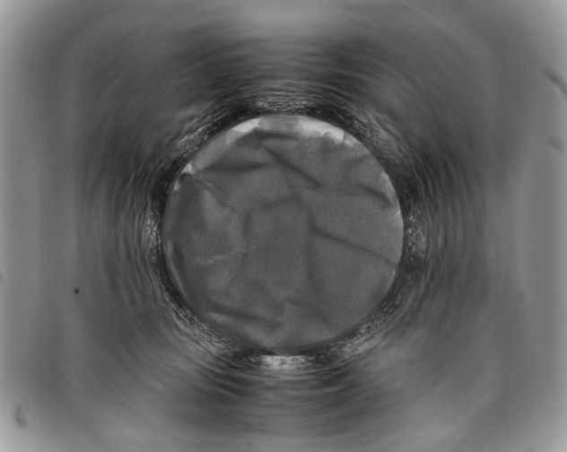 X0000097780371200803281707