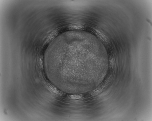 X0000097780373200803281707