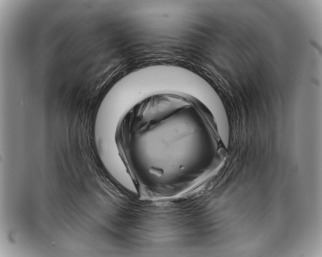 X0000097780376200803281707