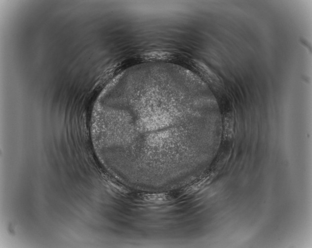 X0000097780377200803281707