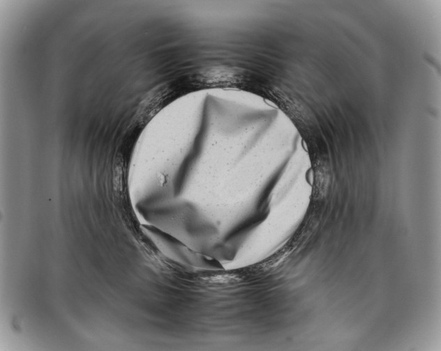 X0000097780379200803281707