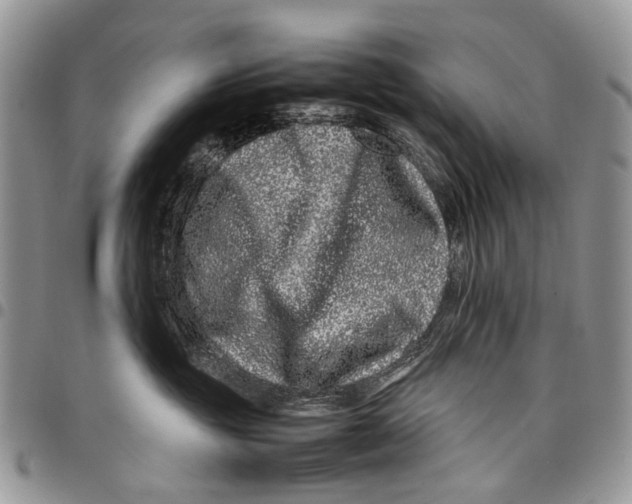 X0000097780381200803281707