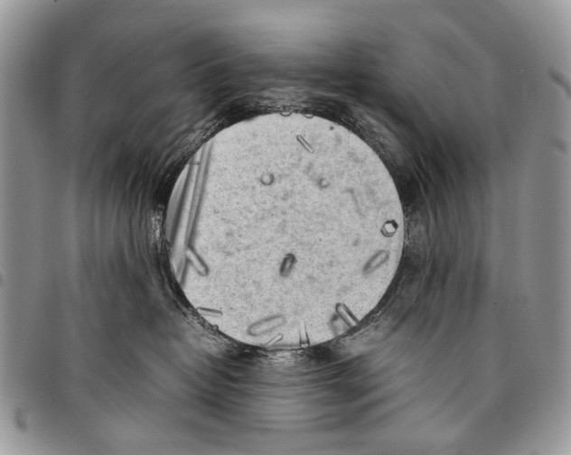 X0000097780382200803281707