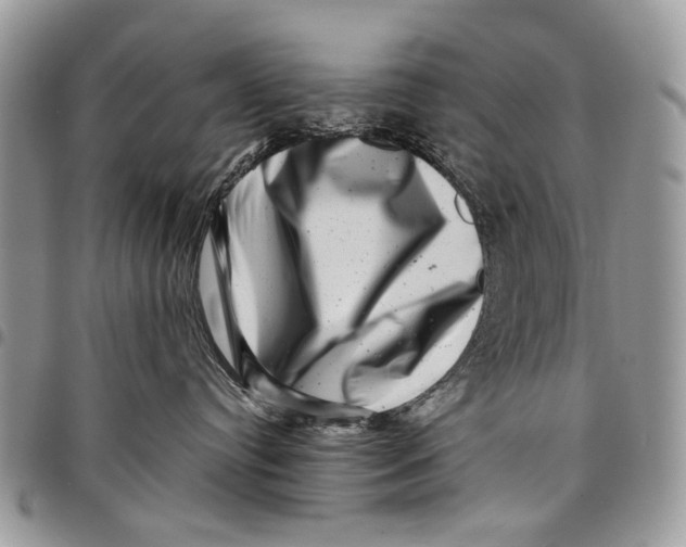 X0000097780384200803281707