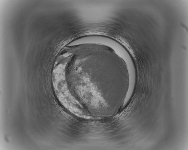 X0000097780385200803281706