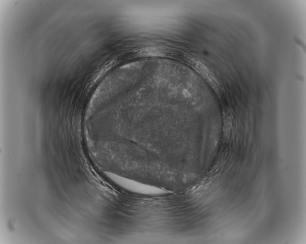 X0000097780386200803281706