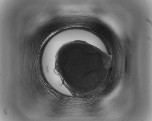 X0000097780387200803281706