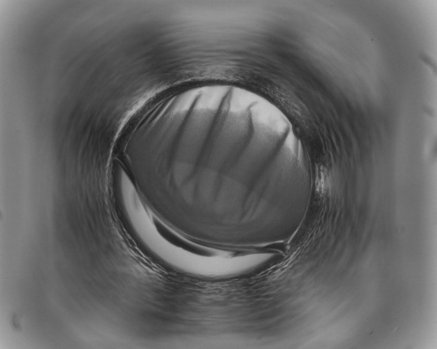 X0000097780388200803281706