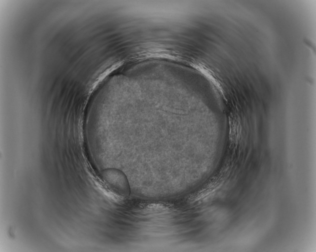 X0000097780390200803281706