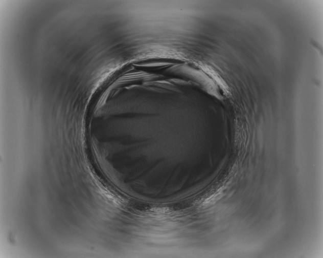 X0000097780391200803281706