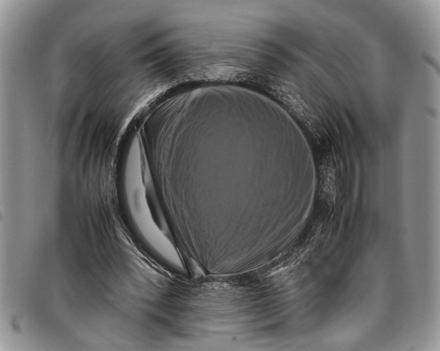 X0000097780392200803281706