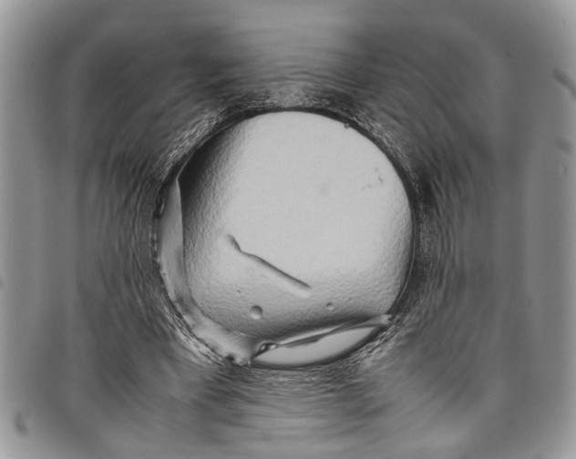 X0000097780393200803281706