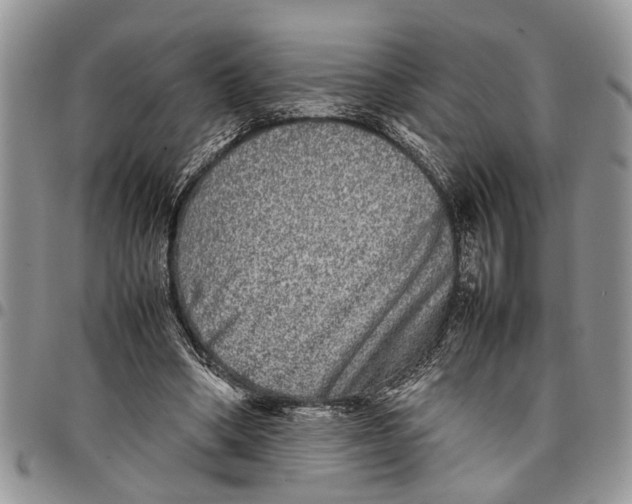 X0000097780394200803281706