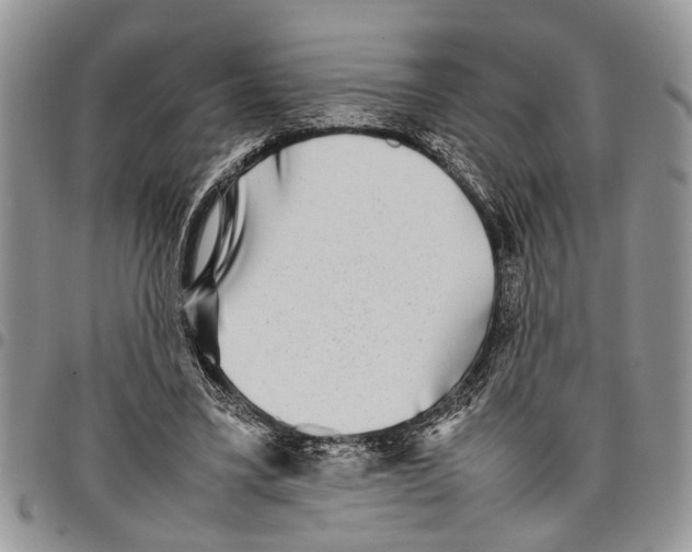 X0000097780395200803281706