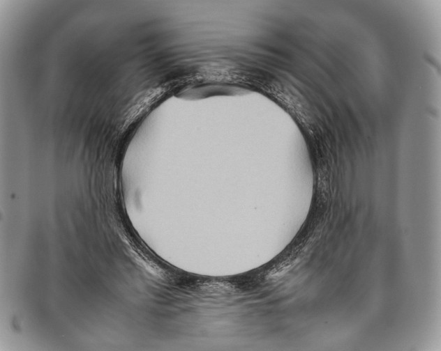 X0000097780397200803281706