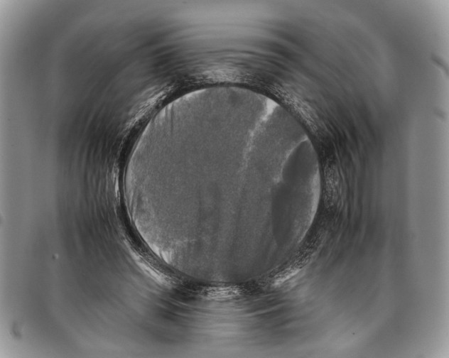 X0000097780398200803281706