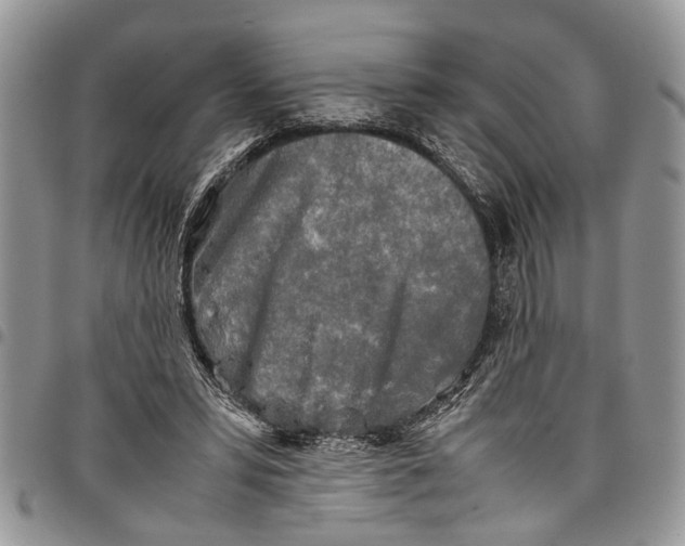 X0000097780399200803281706