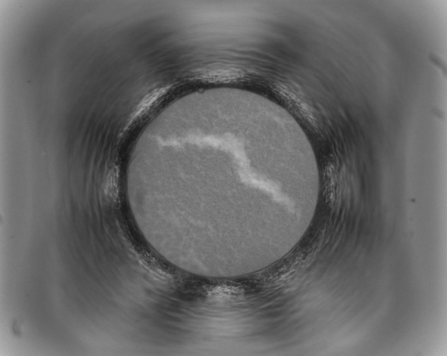 X0000097780400200803281706