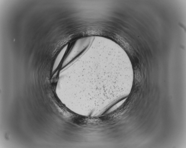 X0000097780401200803281706