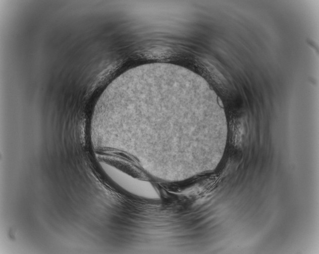 X0000097780404200803281706