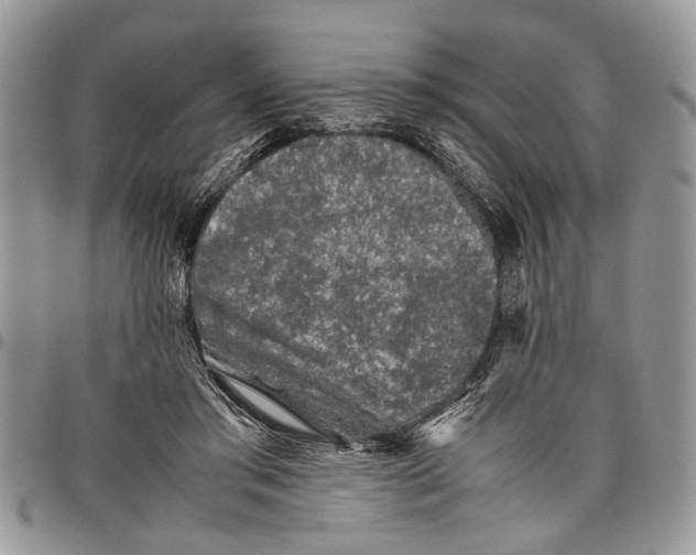 X0000097780405200803281706