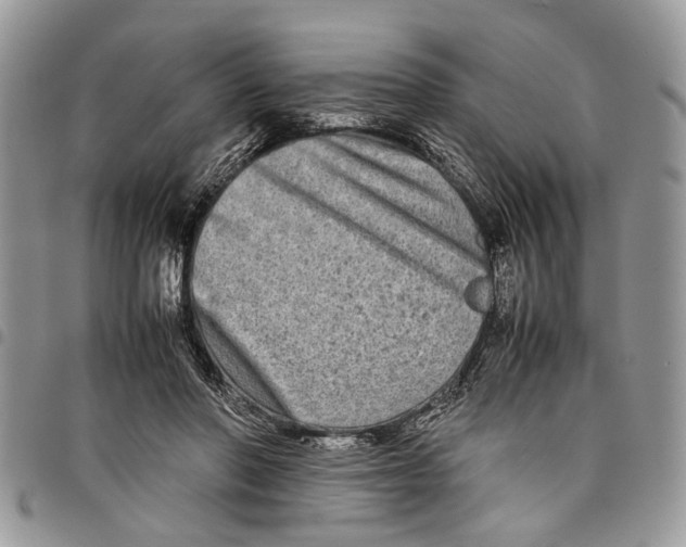 X0000097780406200803281706