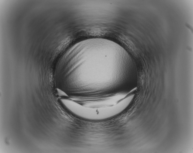 X0000097780407200803281706