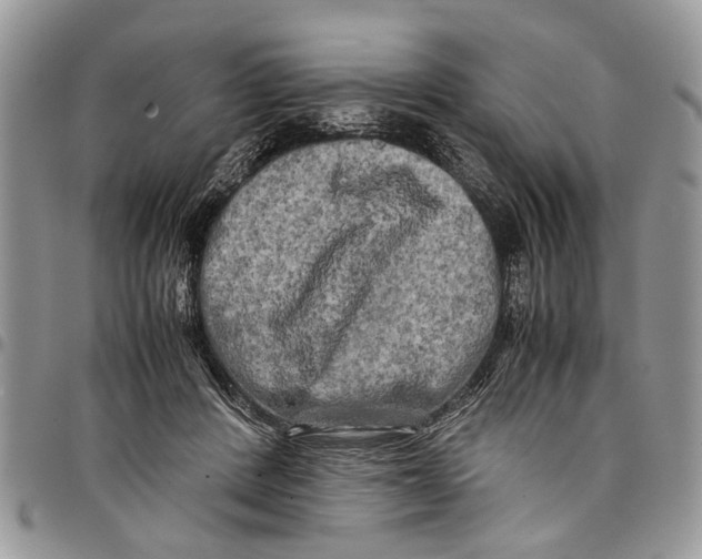 X0000097780408200803281706