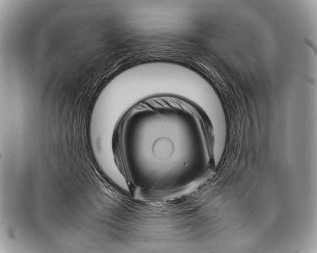 X0000097780409200803281706