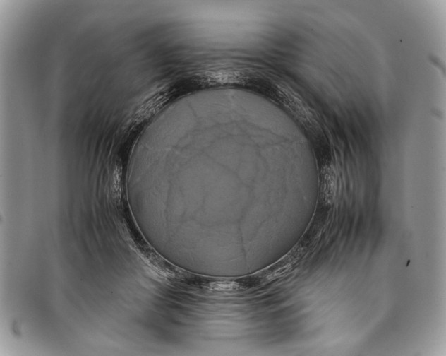 X0000097780410200803281706