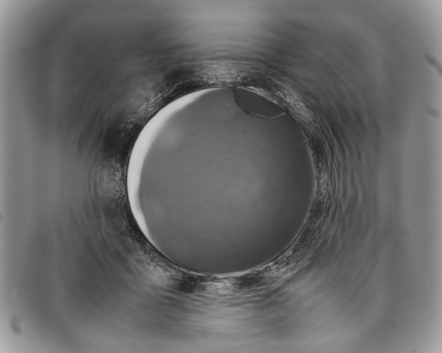 X0000097780411200803281706