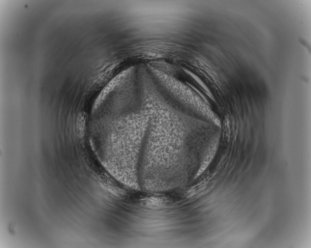 X0000097780412200803281706