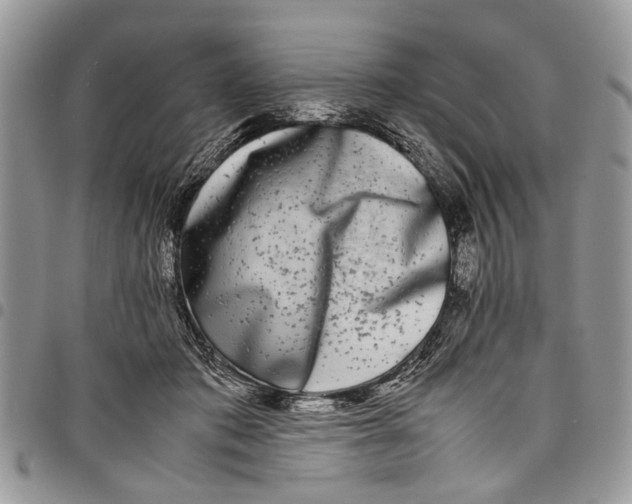 X0000097780413200803281706