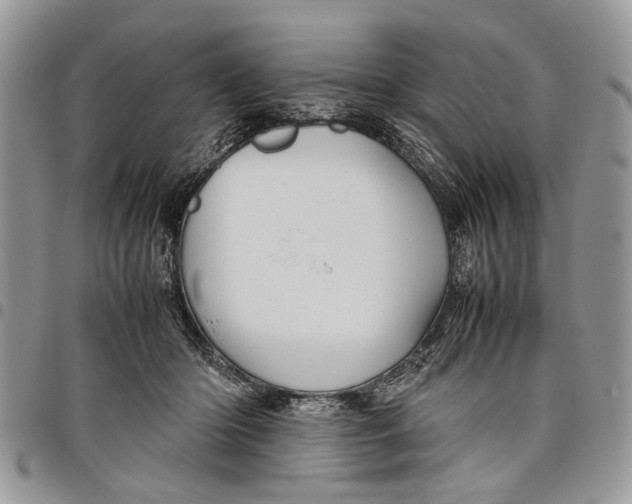 X0000097780414200803281706