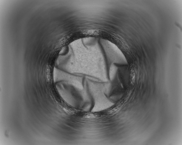 X0000097780416200803281706