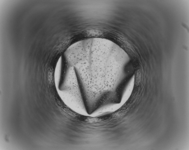 X0000097780417200803281706