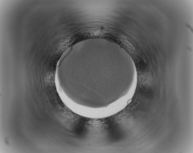 X0000097780419200803281706