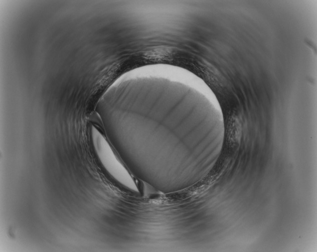 X0000097780420200803281706