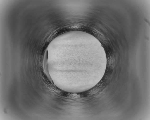 X0000097780421200803281706