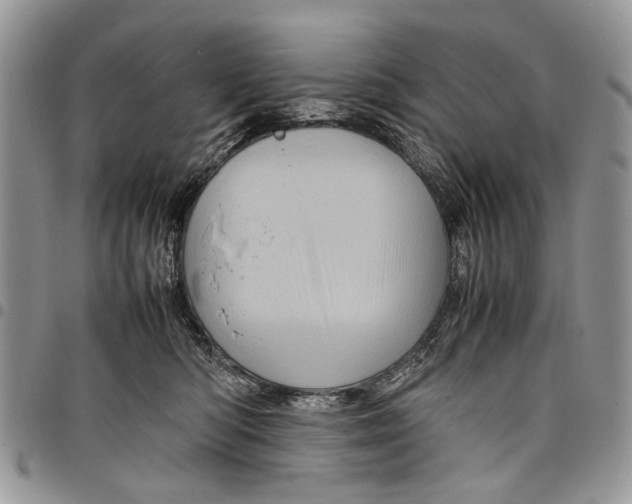 X0000097780422200803281706