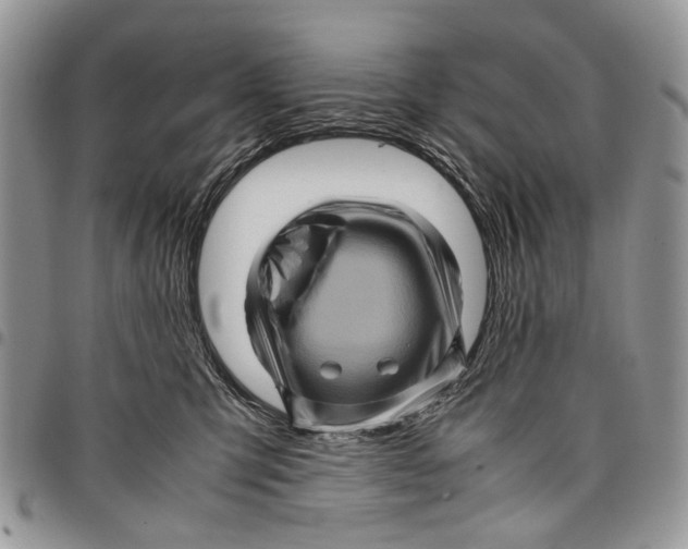 X0000097780423200803281706