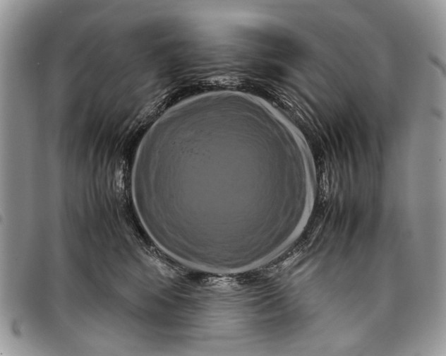 X0000097780424200803281705