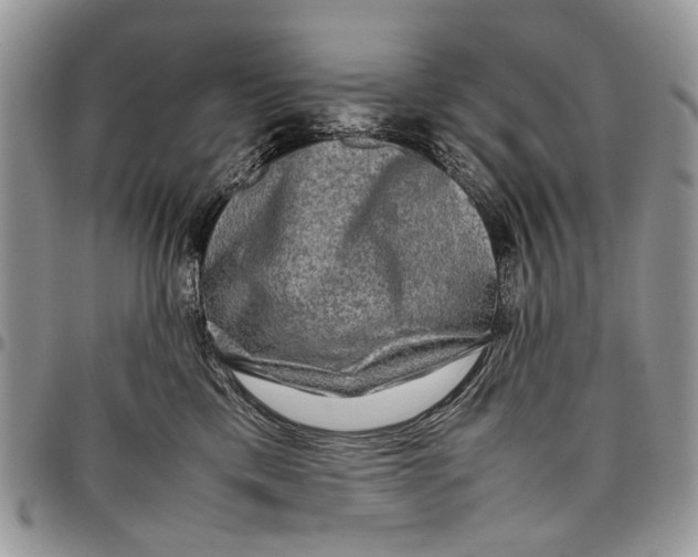 X0000097780425200803281705